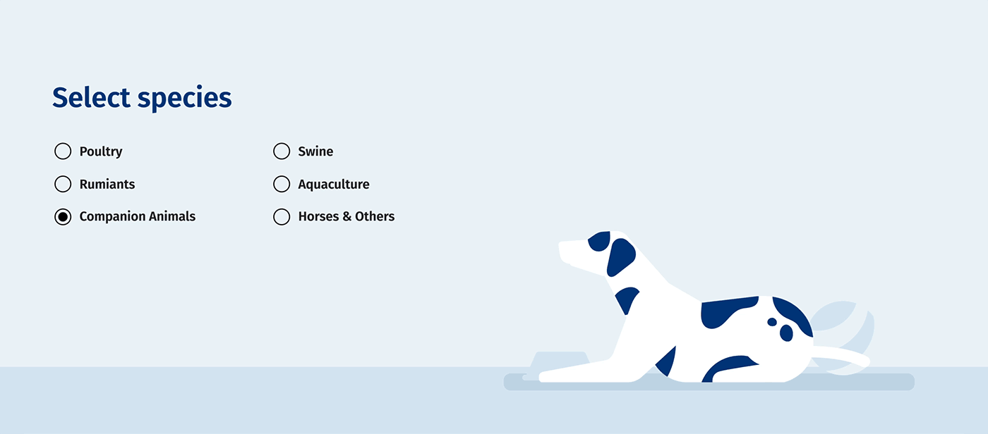 animals illustrations and animations for OVN. Dog calculator