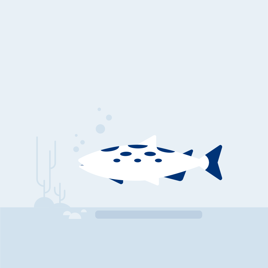 fish illustration 