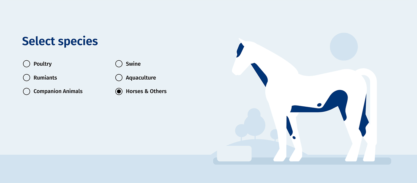 animals illustrations and animations for OVN. Horse calculator